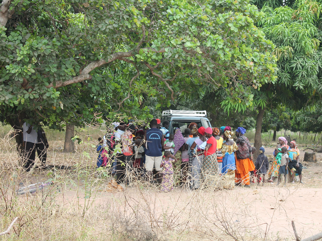 Gambia Santosu Drives Experiences景点图片