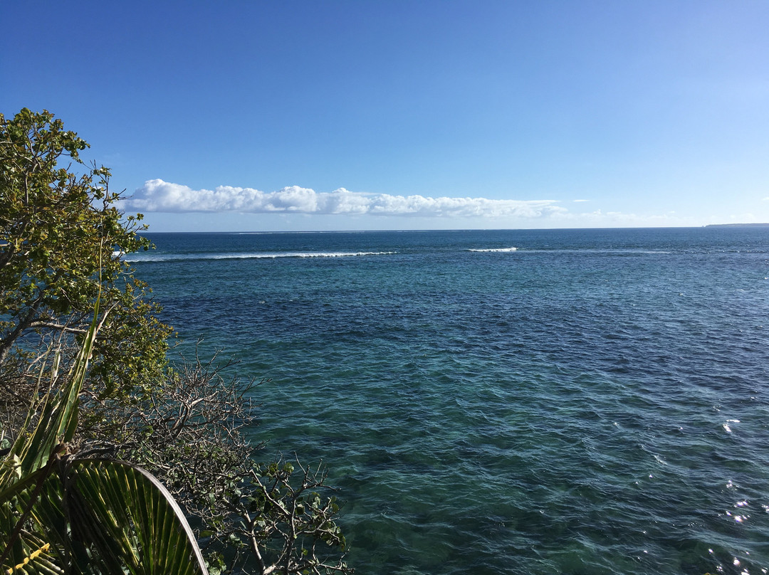 Abel Tasman Landing Site景点图片