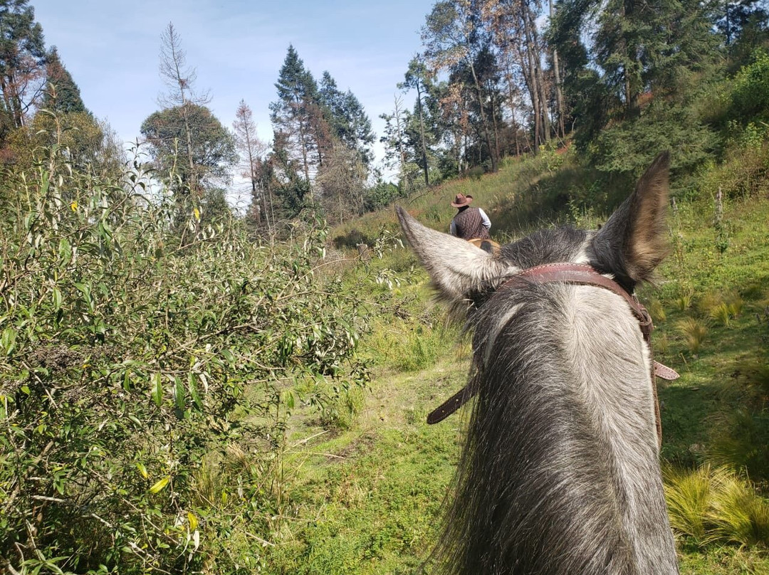 Torres, Equestrian Adventures-墨西哥城必去景点