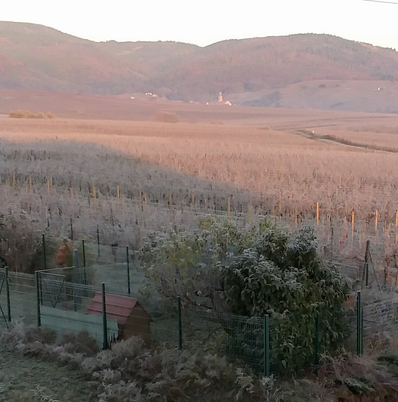 Gîtes au Domaine Greiner