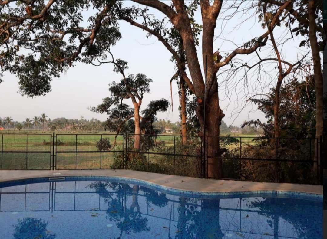 Ocean Wellness Resort主图