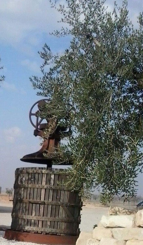 Fortaleza Iberica " Els Vilars "-Arbeca必去景点