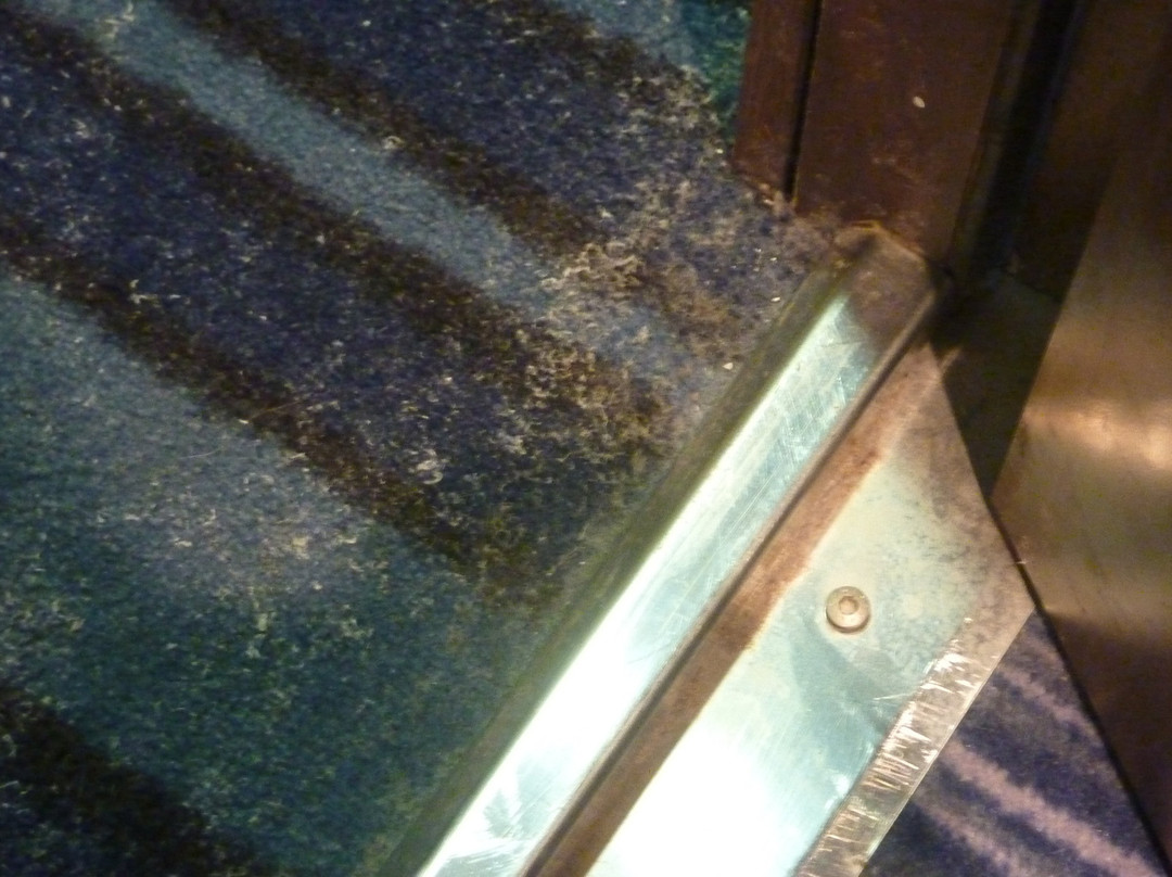 Holiday Inn Express Strasbourg - Sud By IHG主图