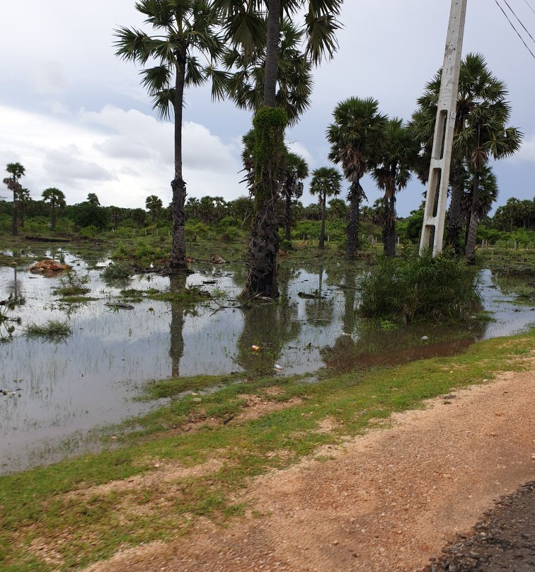 Salli Sri Muthumari Amman Temple-Trincomalee必去景点