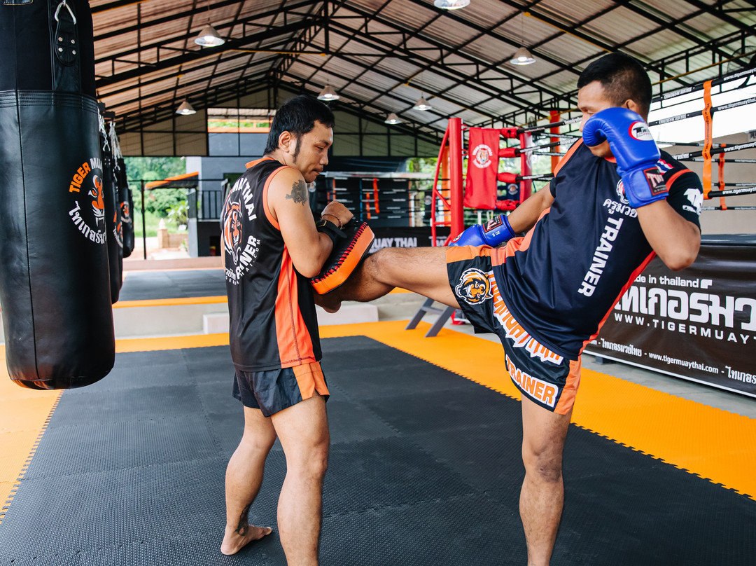 Tiger Muay Thai School & Training Camp-Mae Faek Mai必去景点