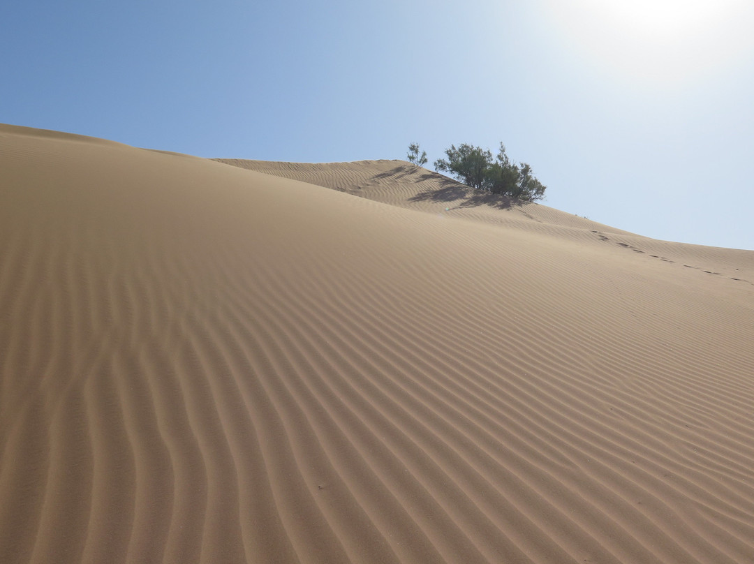 Lets Go 2 Morocco景点图片