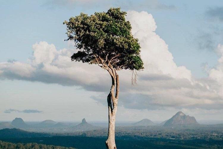 Beyond Noosa Tours-Noosa Heads必去景点