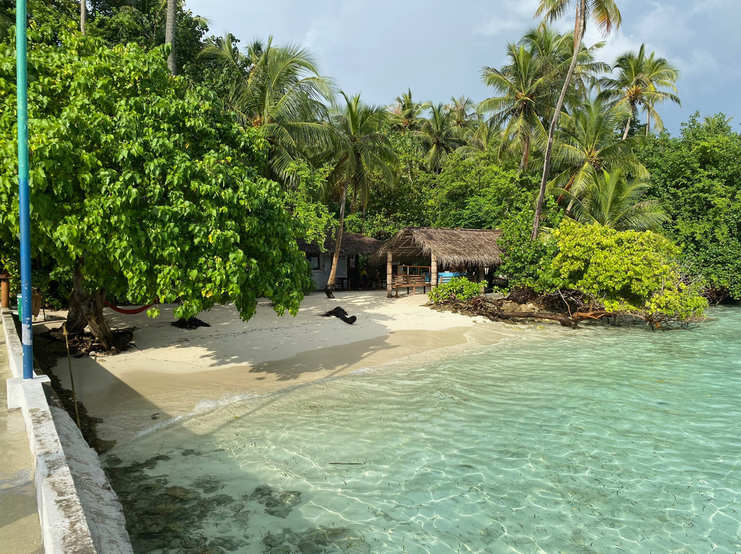 Dive Ocean-Biyaadhoo Island必去景点