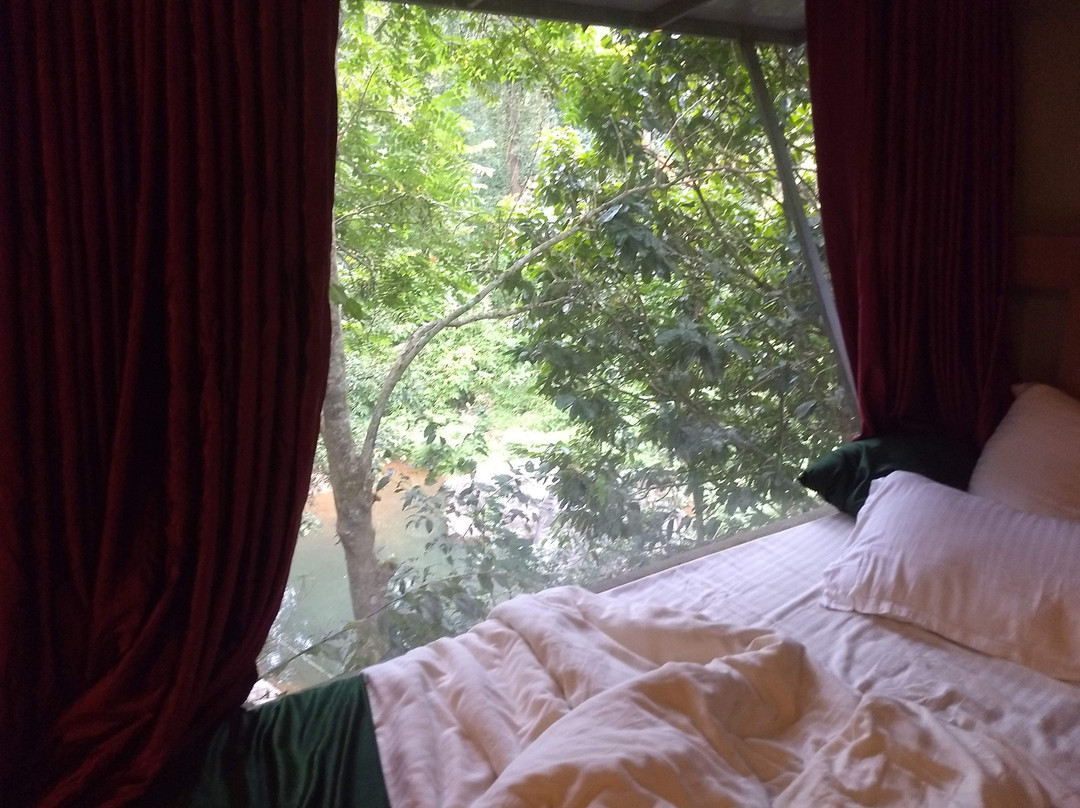 Jungle Beats Resorts主图