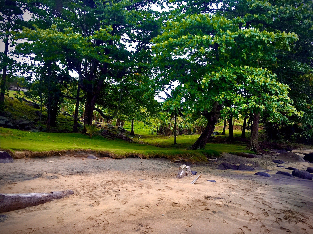 Pacuiba Beach-伊利亚贝拉必去景点