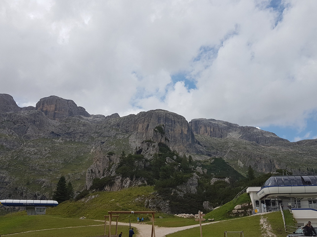 Laguscei Dolomites Mountain Hotel主图