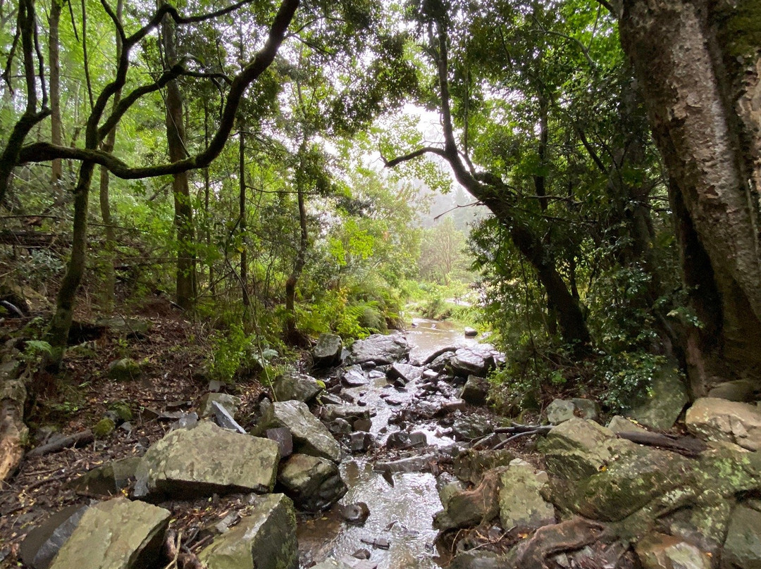 39 Steps-Hogsback必去景点