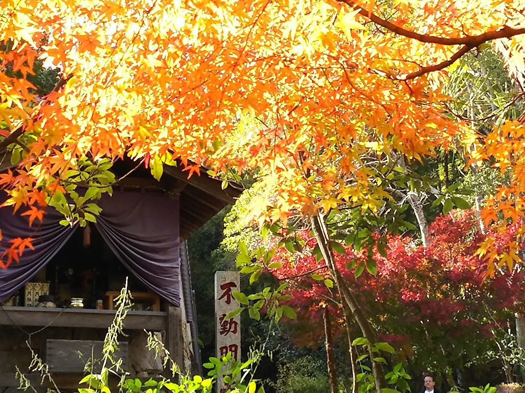 Iyama Hofukuji Temple景点图片