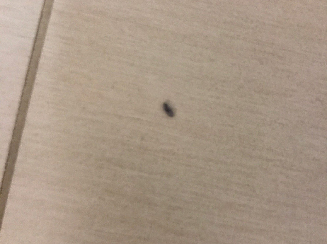 锡考克斯梅多兰兹住宅旅馆主图
