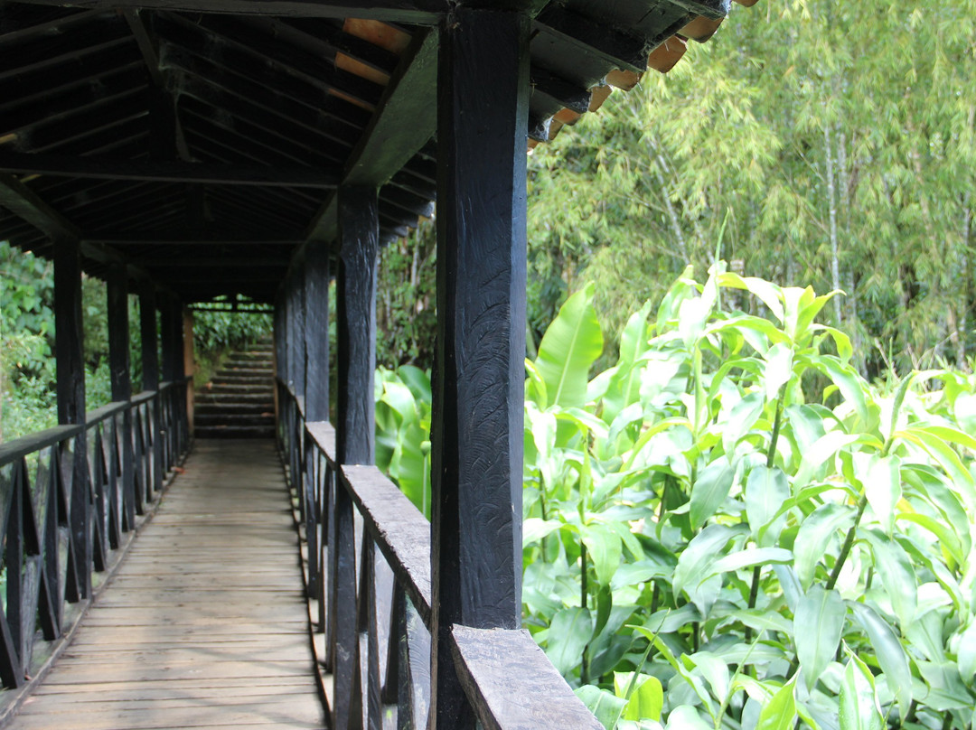 Free Walking Tour-Jerico必去景点