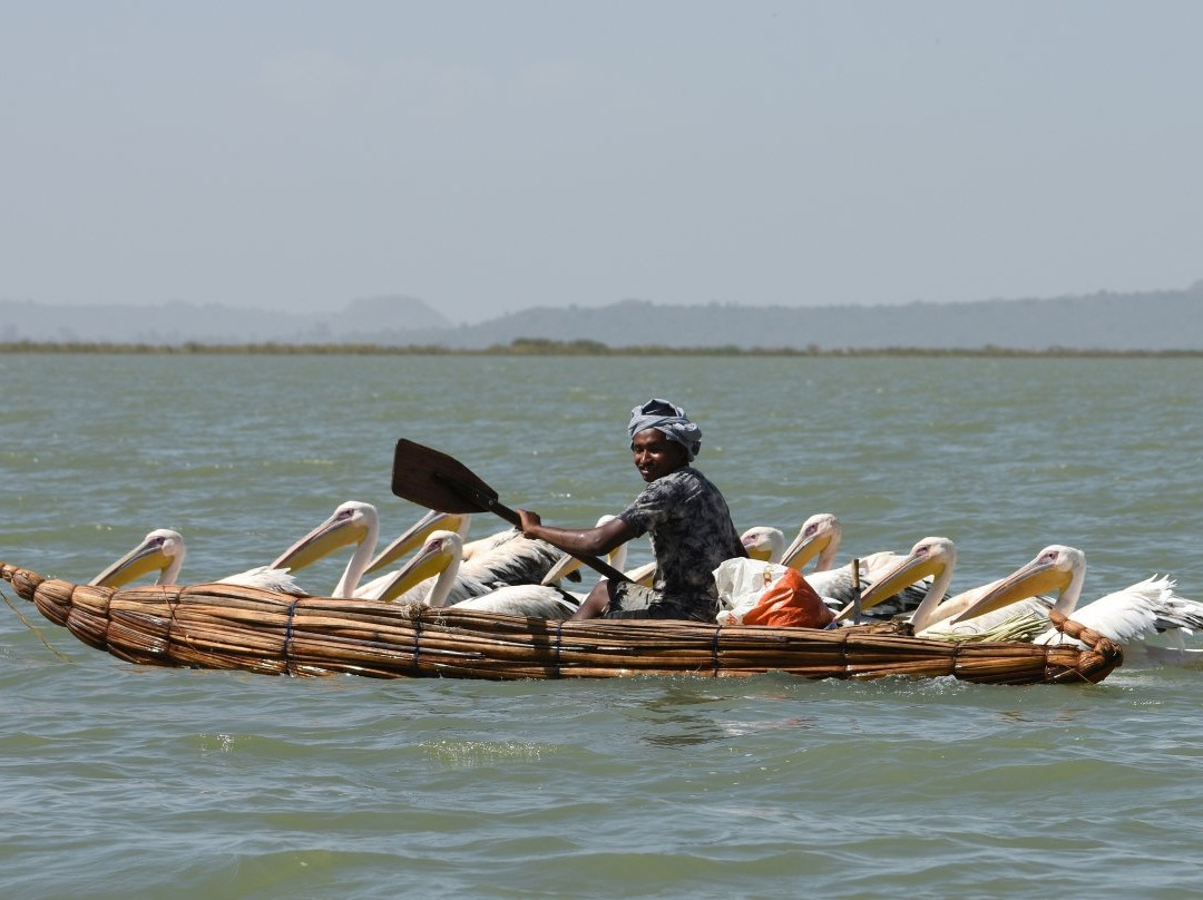 East Africa Tour Operator