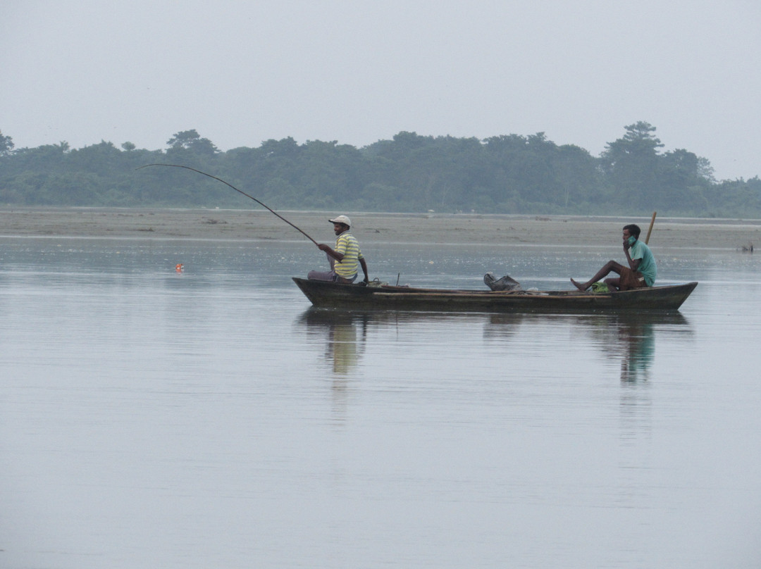 Dibru Saikhowa National Park景点图片
