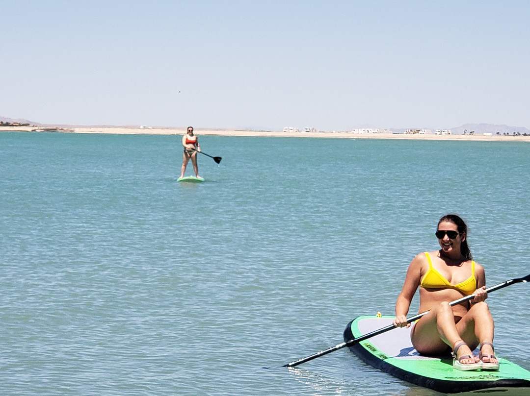 Cholla Bay-La Choya必去景点