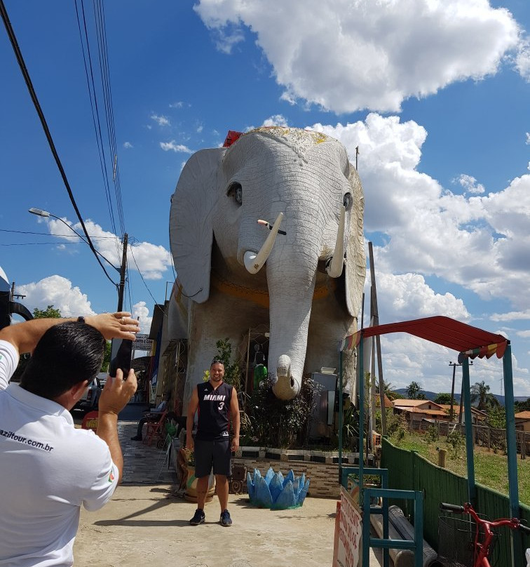 Escultura Casa Elefante-Cordisburgo必去景点