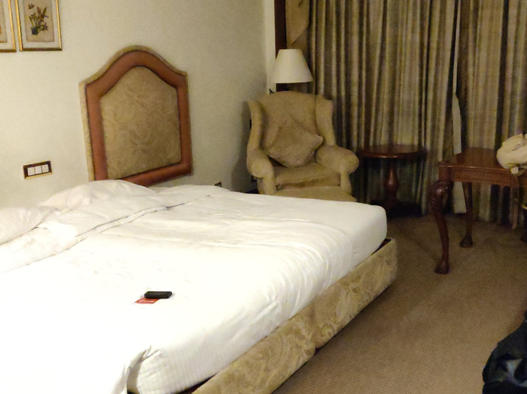 印度棕榈乡村俱乐部度假酒店主图