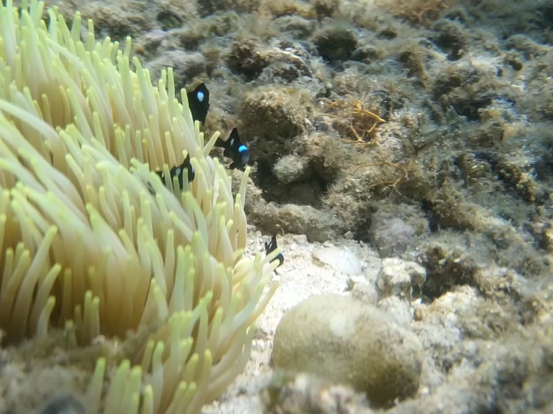 Gumasa Beach-Glan必去景点