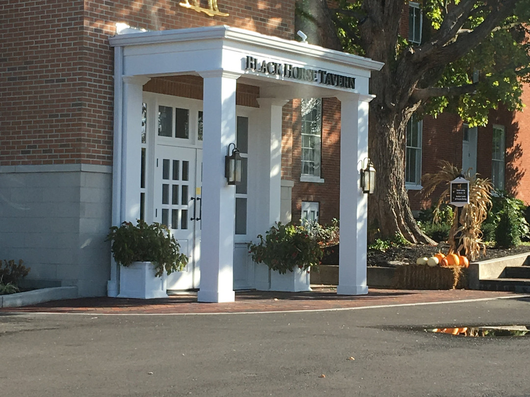 黄金羔羊旅舍主图