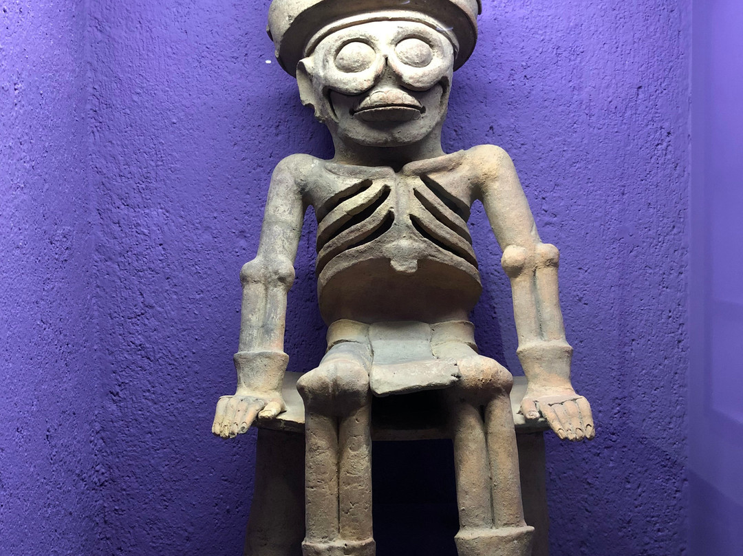 Museo de Arte Prehispánico de México景点图片