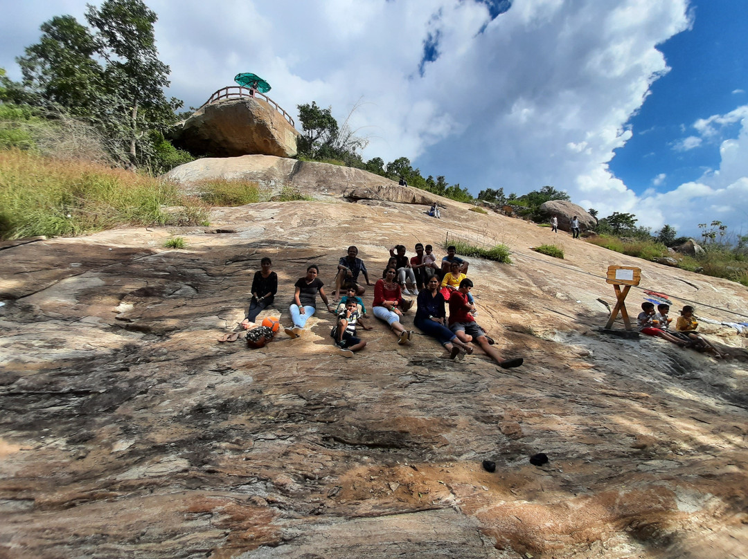 Rd's Nature Retreat景点图片