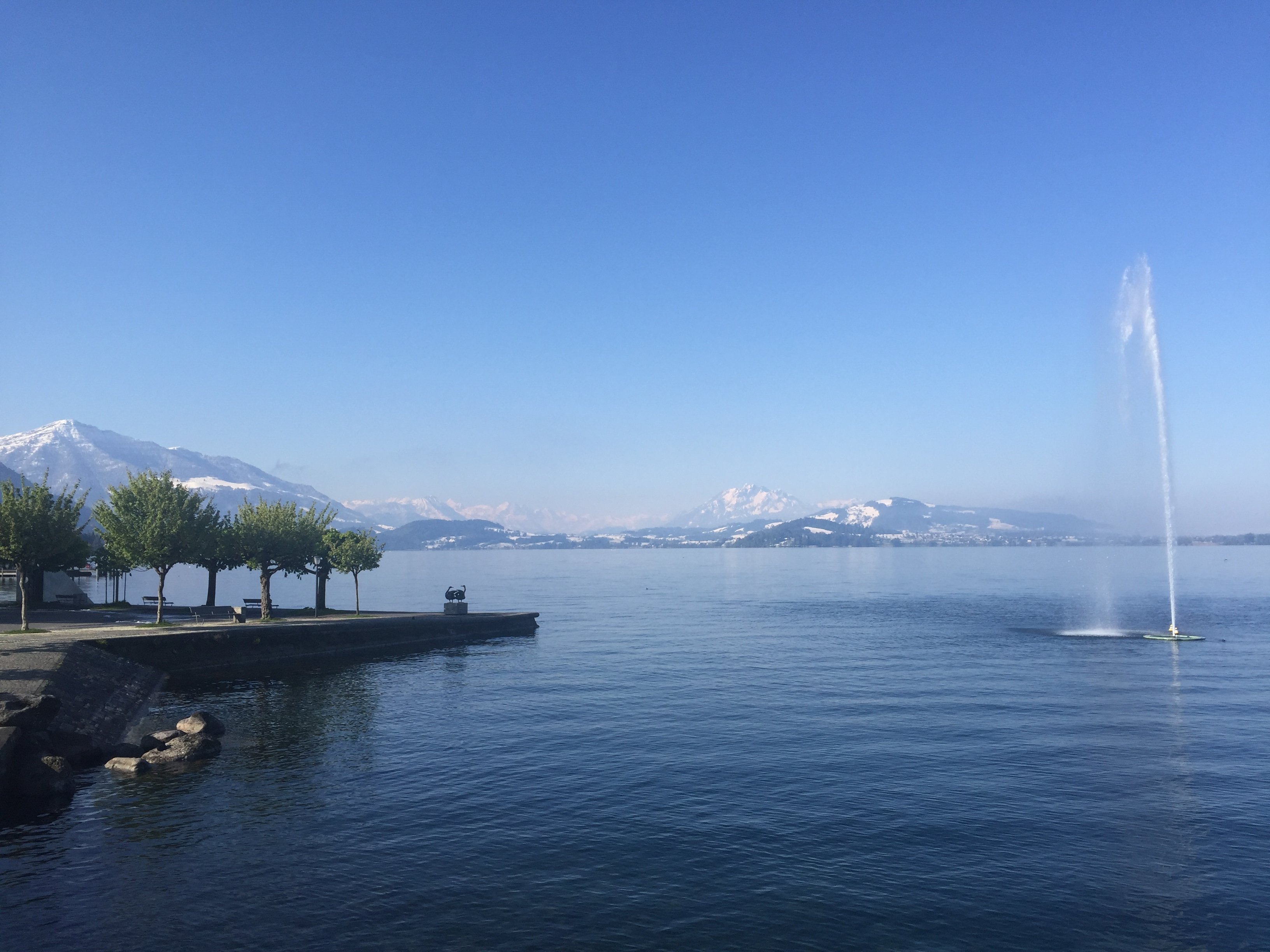 Hotel Lowen am See Zug-官方