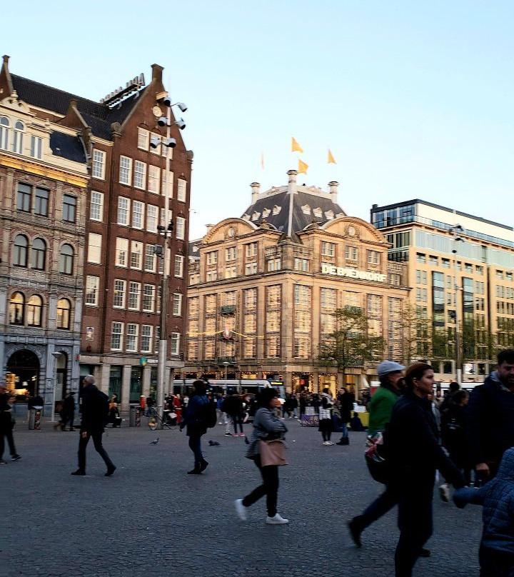 City Free Tour Amsterdam景点图片