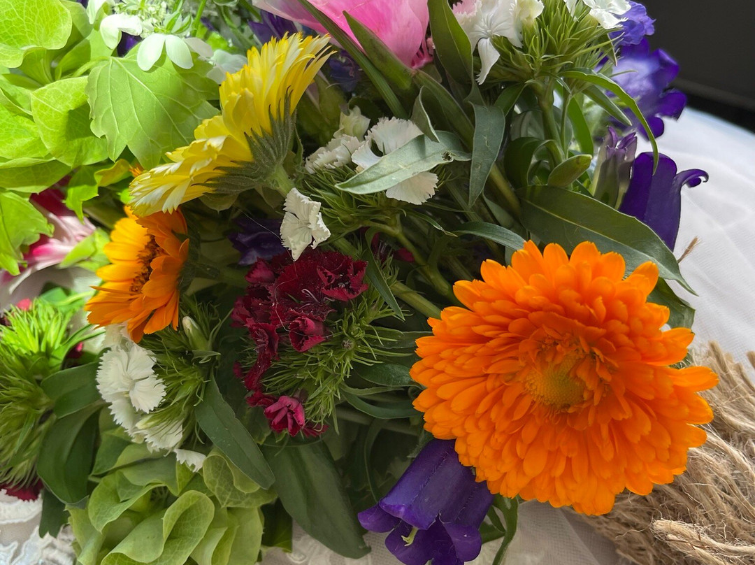 Crested Butte Farmers Market景点图片