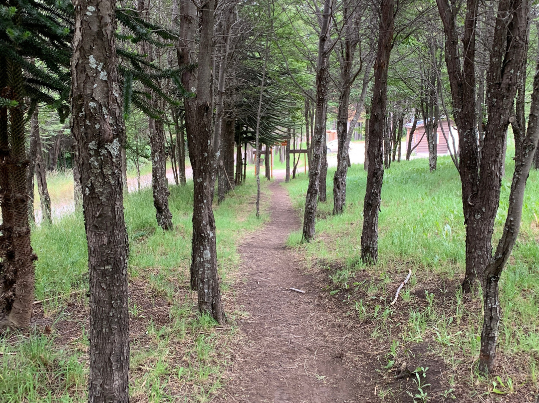 Coyhaique National Reserve-Coyhaique必去景点