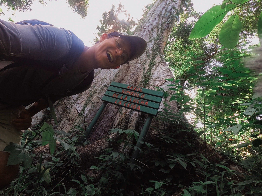 Bosque Estatal Monte Choca-Corozal必去景点