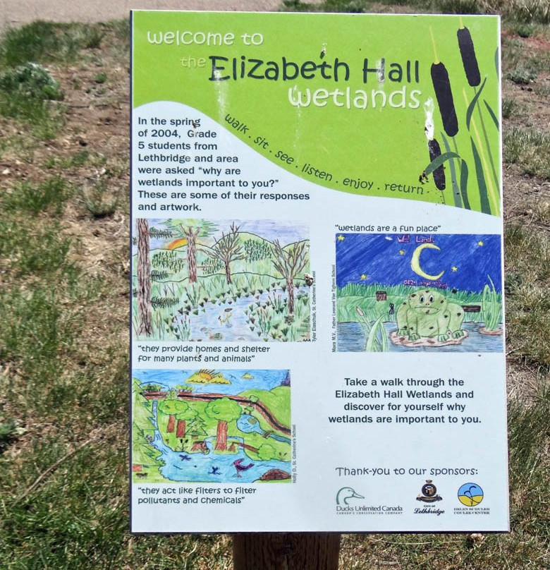 Elizabeth Hall Wetlands景点图片