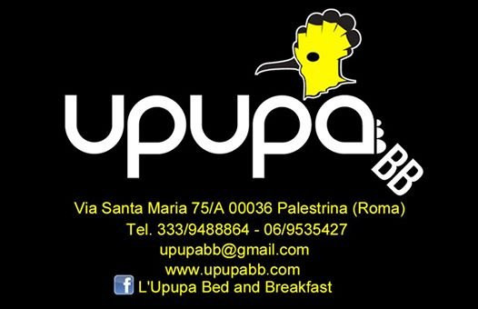 L'Upupa主图