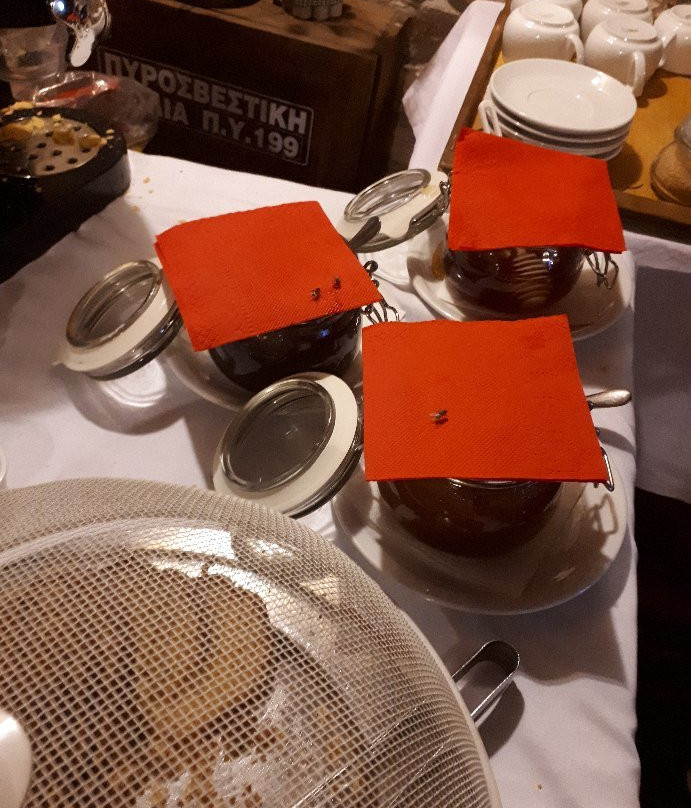 Aristi's Mansion主图