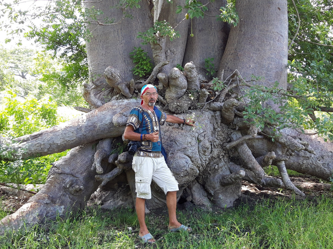 Turaco Birdwatching and Expedition Tours景点图片