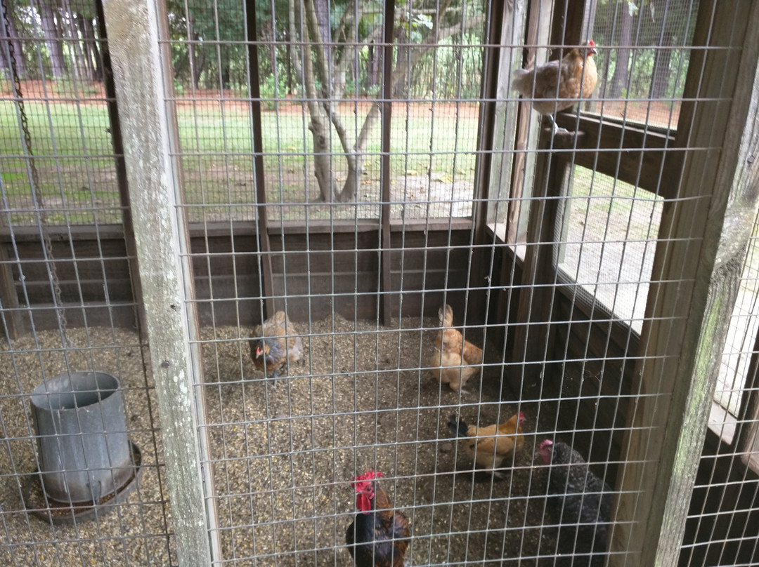 Dauset Trails-Jackson必去景点