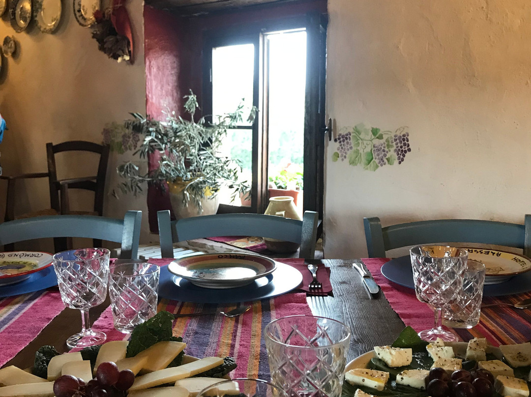 Elena Sardelli - Siena and Tuscany Tour Guide-锡耶纳必去景点