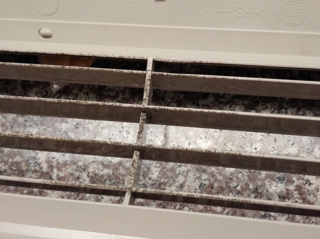 Best Western Inn & Suites主图