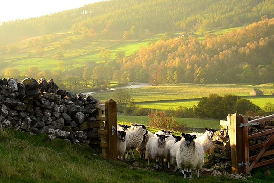 Adventure Solos: Share the Adventure-温德米尔必去景点