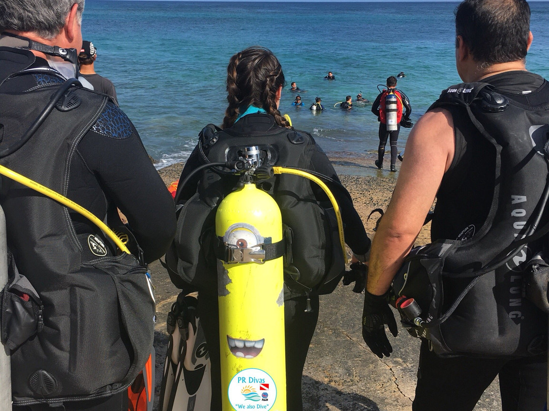 Neptunes Divers PR-Manati必去景点