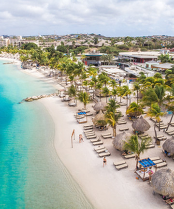 Mambo Beach Boulevard景点门票图片