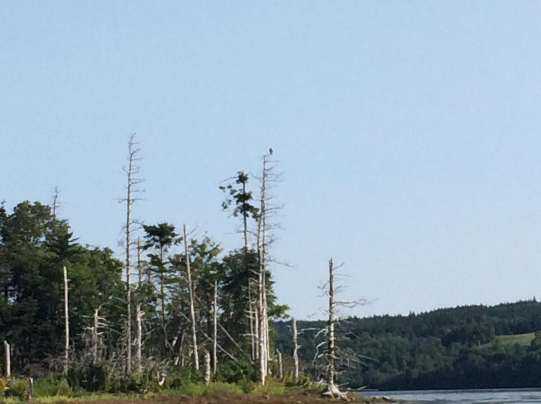 Skipping Stone Cafe & Store-Guysborough必去景点