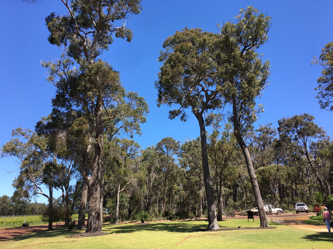 Margaret River Winemakers景点图片