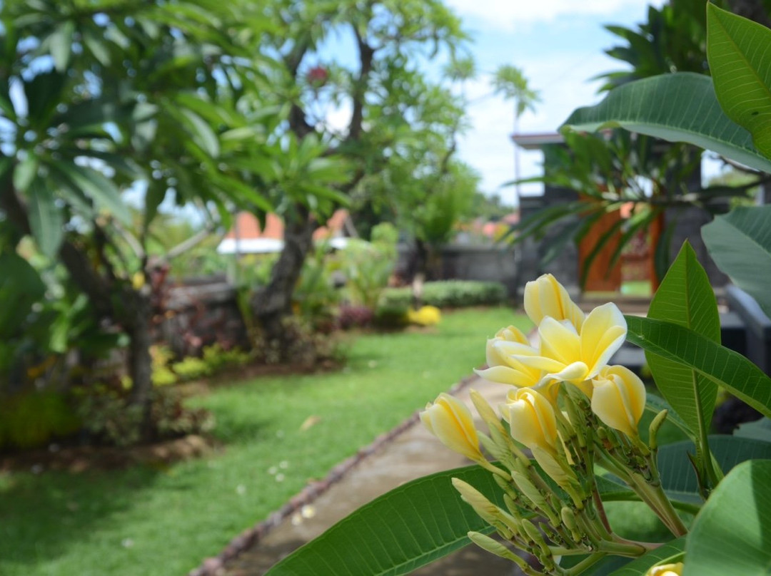 Kiarta Bali Home Boutique主图