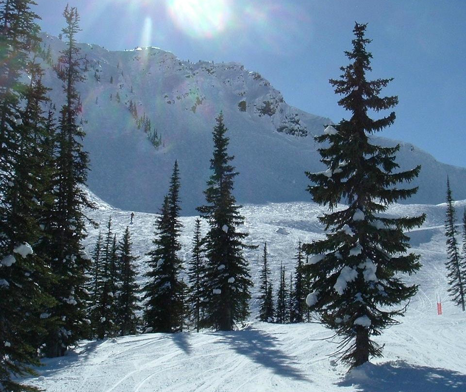 Golden Nordic Ski Club景点图片