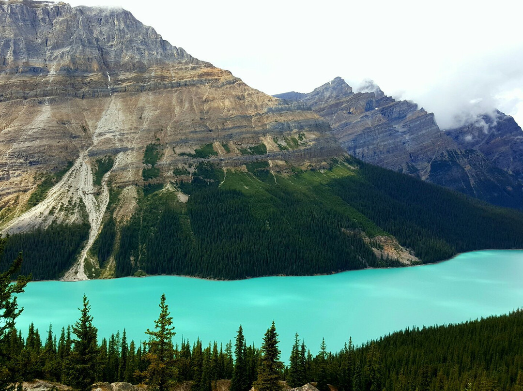 Sasketchawan River Crossing旅游景点-Bow Summit