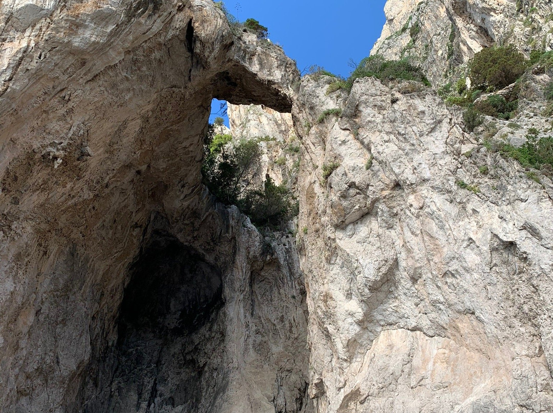 Lovely Capri Charter-马萨卢布伦塞必去景点