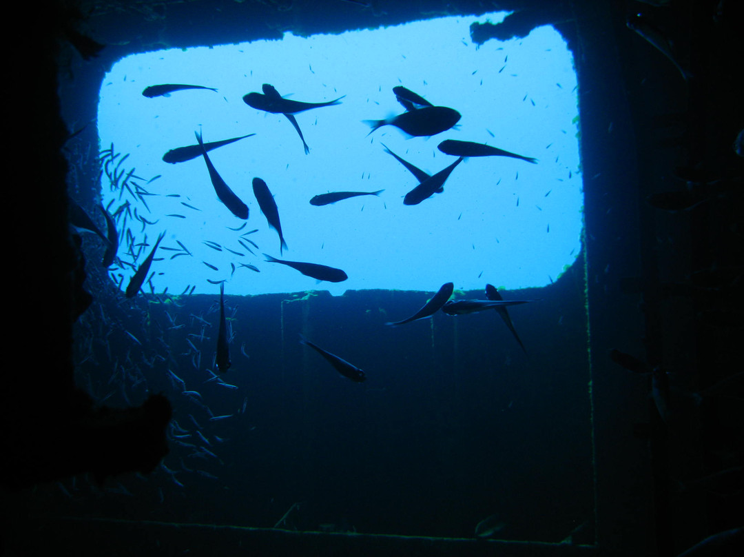 Felipe Xicotencatl Shipwreck-考祖梅必去景点